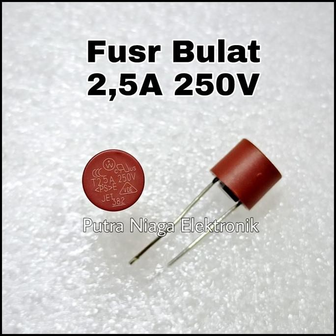 (5) Fuse Bulat 2,5A 250V Sikring Silinder Sekering PCB Board / T2,5A250V putr4n Segera Beli