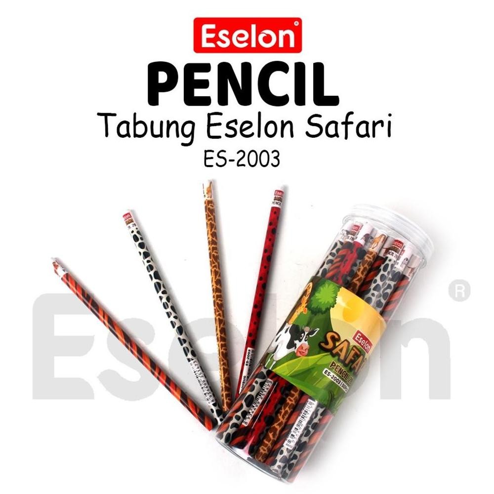 

SALE 50pcs Pensil Karakter Eselon / 1 Tabung Pensil 2B Karakter FE24