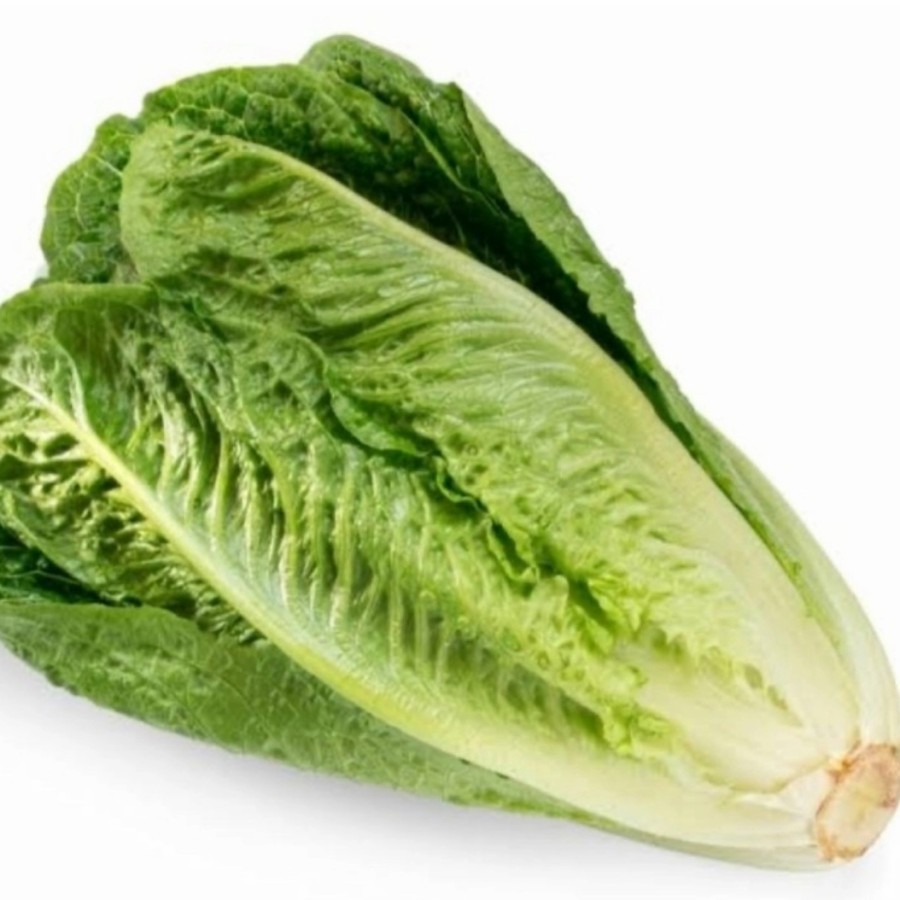 

Selada Lettuce Romaine Fresh - 1/2 kg