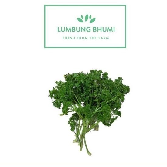 

Parsley Sayur 250 Gr - Lumbung Bhu