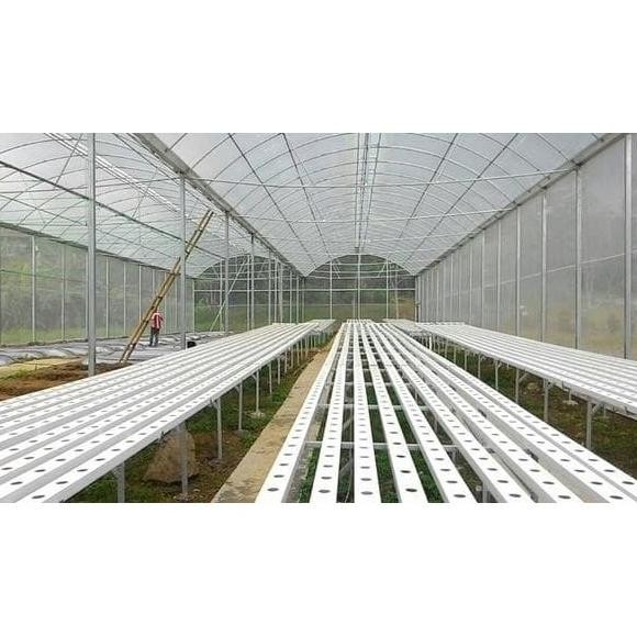 Terbaru Promo Plastik Uv 250 Micron Lebar 3 Meter 14% Plastik Uv Green House Uy-23