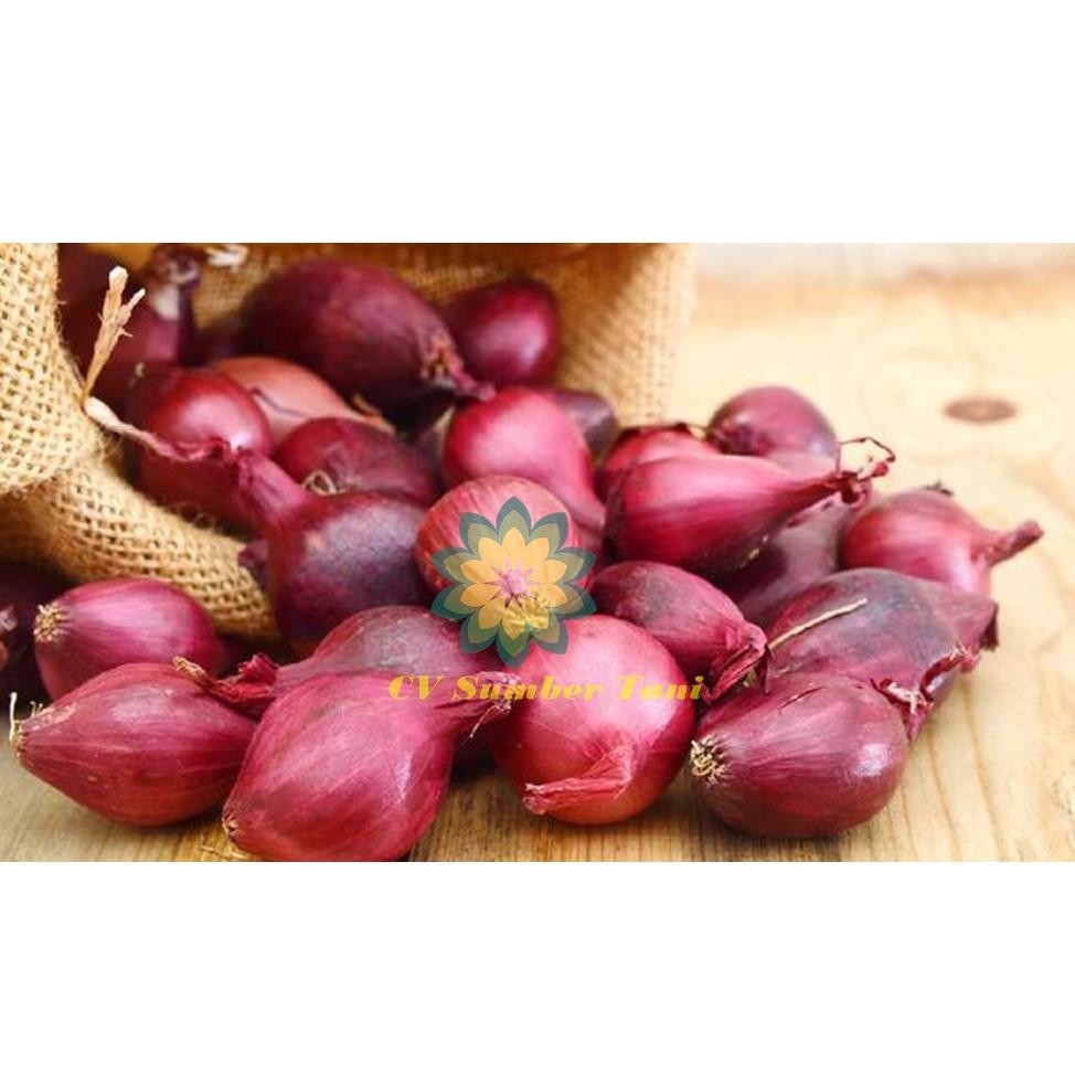 

Premium Super Bawang Merah Lokal Kering 500Gram Fb-4
