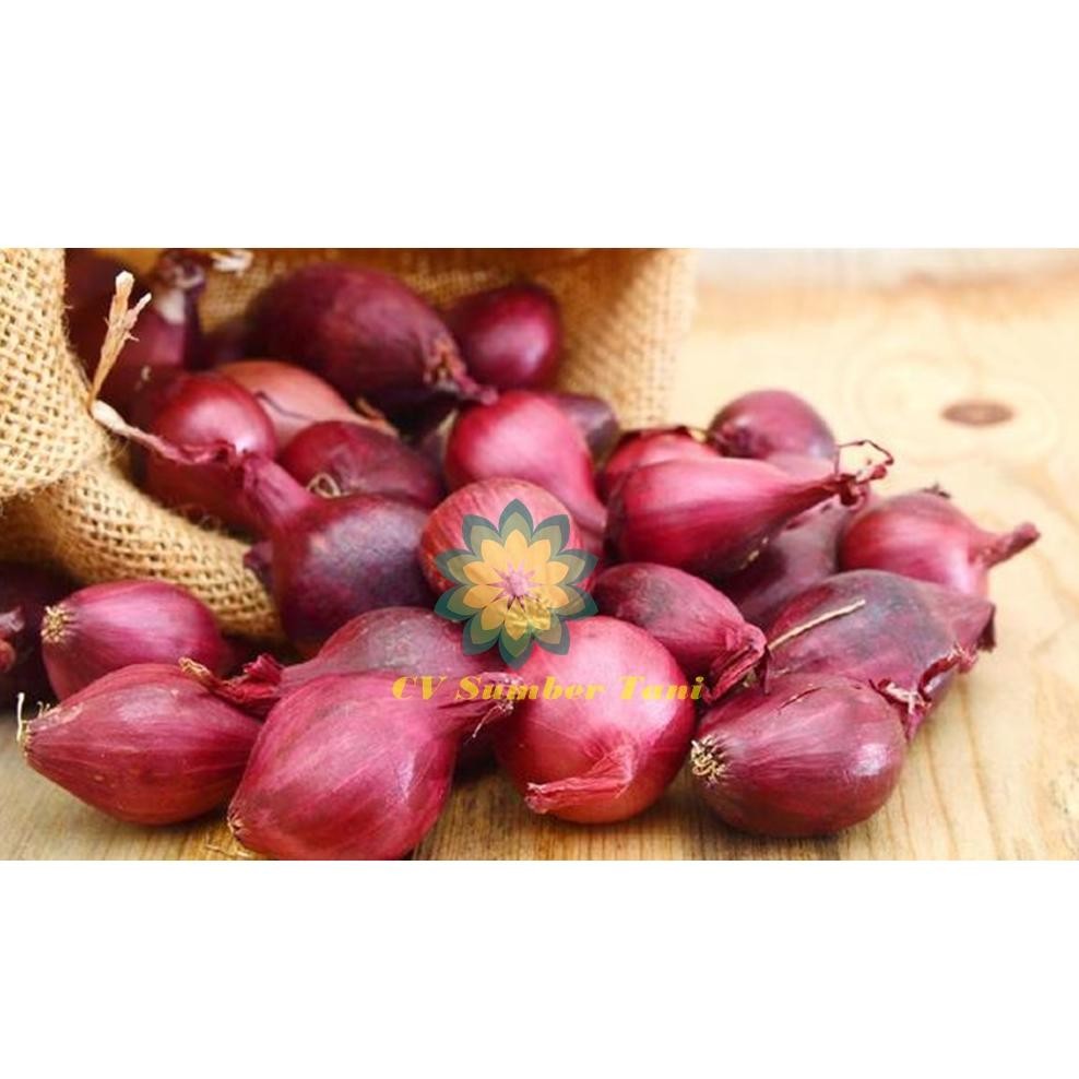 

Terbaru Hot Bawang Merah Lokal Kering 500Gram Fgk-45