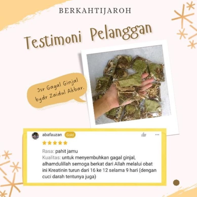 

Original Promo Bulan Ini Wedang Akar Alang Jahe Meniran Kumis Kucing Daun Sukun Atasi Masalah Ginjal Daun Herbal Good Quality