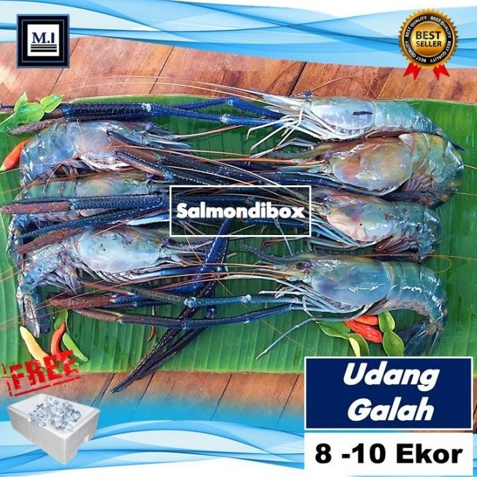 

Udang Galah Fresh Isi 8-10 Ekor/Kg