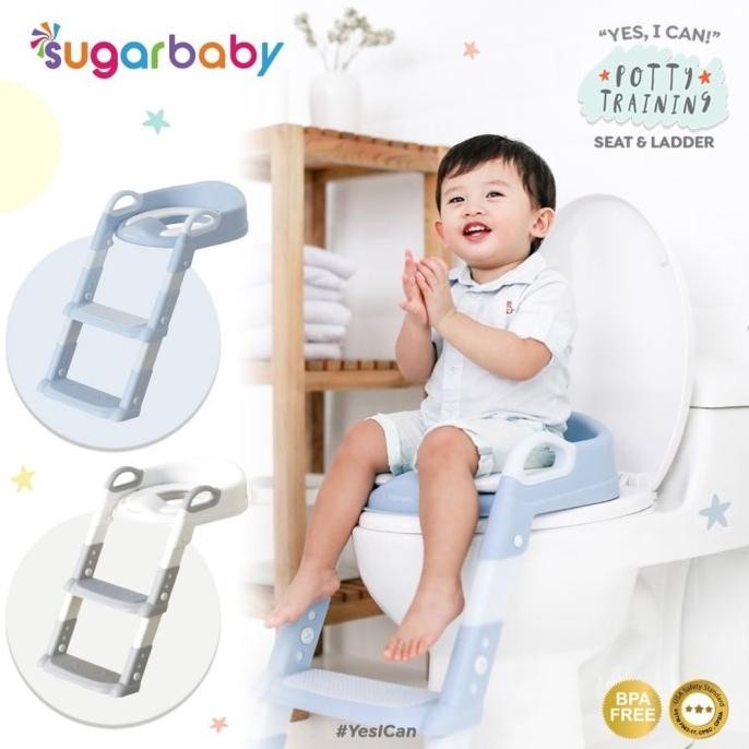 Sugarbaby Potty Training Seat&ladder / Potty Seat/Toilet Training Anak