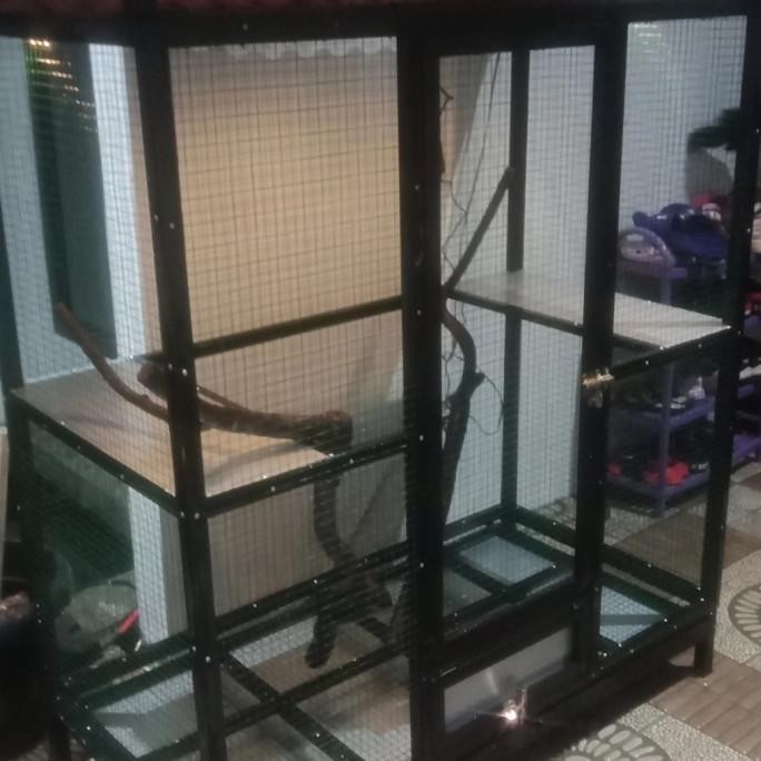 Kandang Iguana Jumbo Elegan [ Po ]