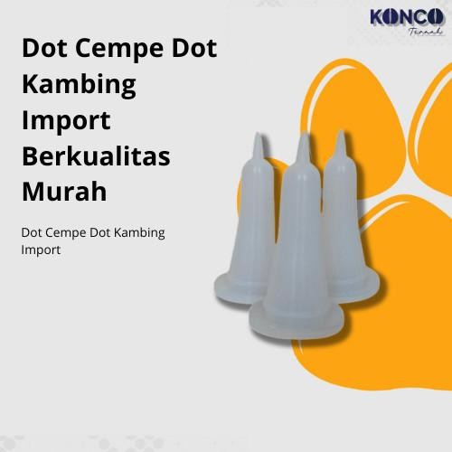 Dot Cempe Dot Kambing Import Hewan
