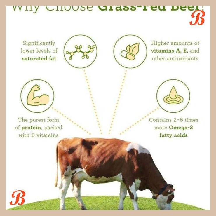 

| NN | GRASS FED STRIPLOIN MINCED BEEF (250 G) DAGING GILING PREMIUM GRASSFED