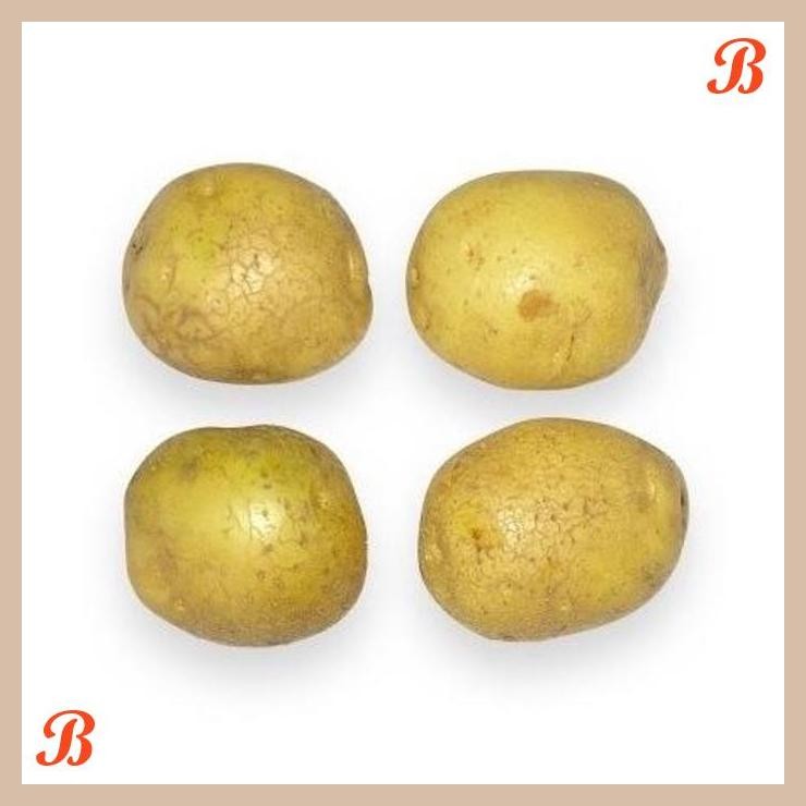 

| NN | KENTANG ORGANIK 500GR