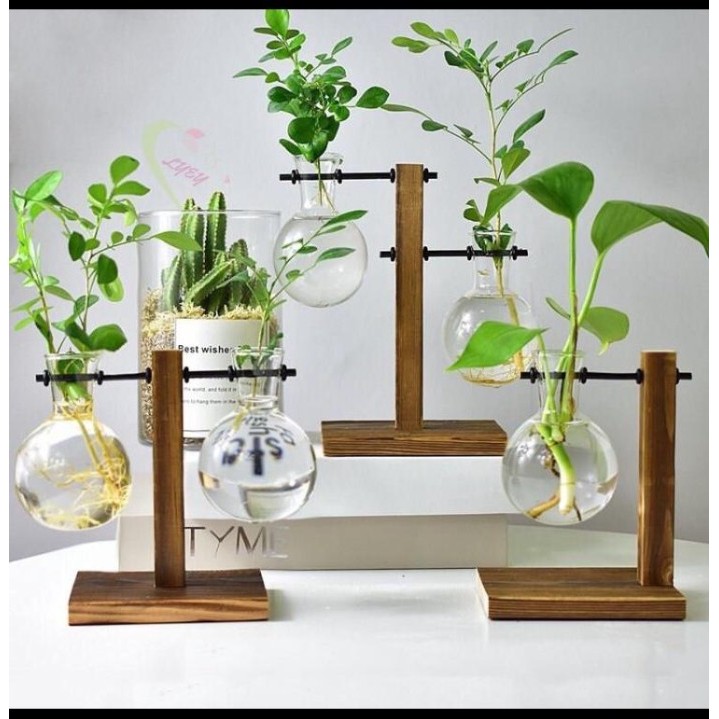 POT KAYU KACA UNIK MINIMALIS