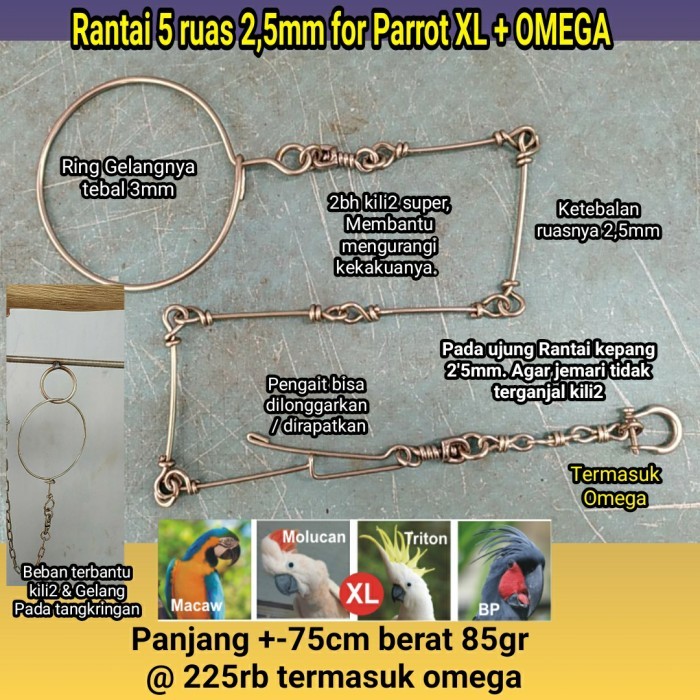 wmf Paket Ring Kaki Omega dan Rantai Macau BNG hingga Macaw HYACHINT