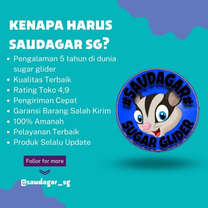 Kandang Hewan Kecil Sg/Tupai Terbang/Hamster/Kelinci