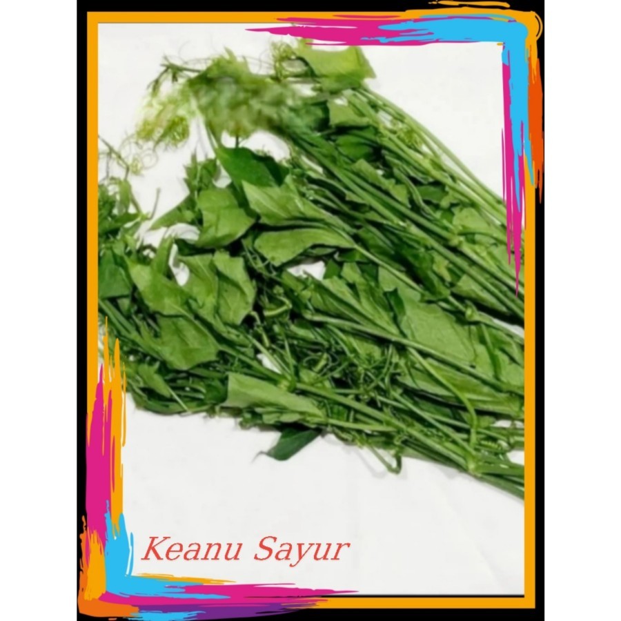 

sayur daun labu 1 ikat