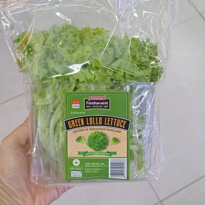 

best produk] fresh harvest green lolo lettuce 150gr