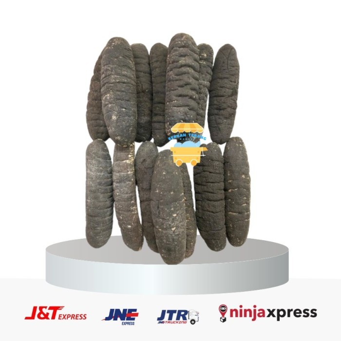 

Haisom/ Teripang / Lintah Laut/ Sea Cucumber Asli Belitung Isi 10 500G Promo