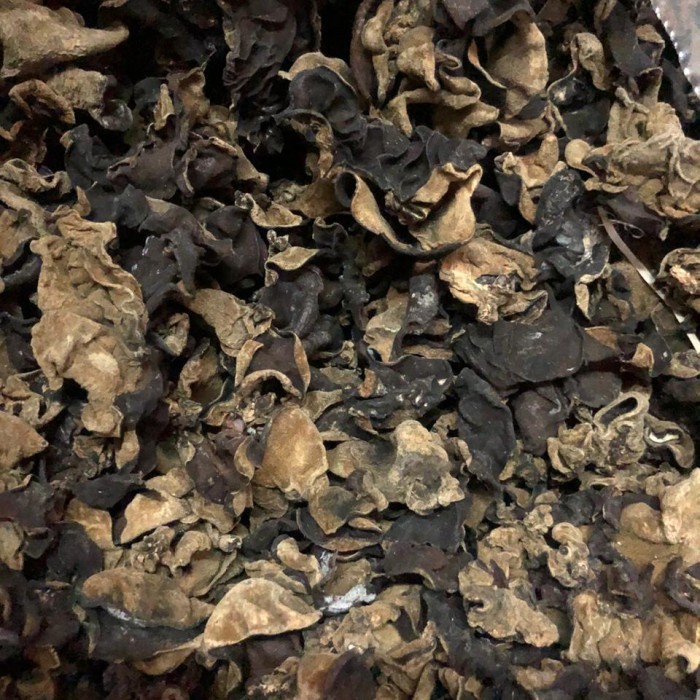 

Terbaru Jamur Kuping Hitam Premium 1 Kg