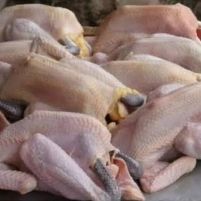 

Ayam Kampung Fresh Baru Potong 900-1000Gr