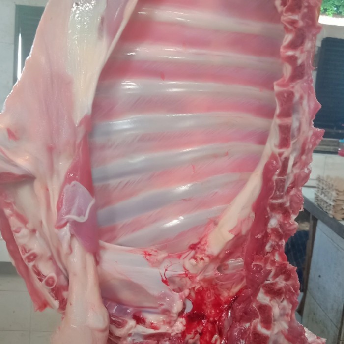 

Tulang Iga Kambing,1Kg