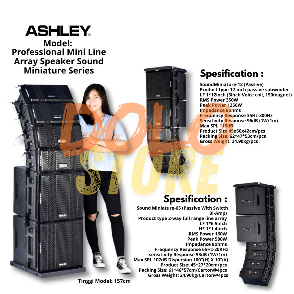 ORIGINAL ASHLEY PAKET PROFESSIONAL MINI LINE ARRAY SPEAKER SOUND MINIATURE SERIES