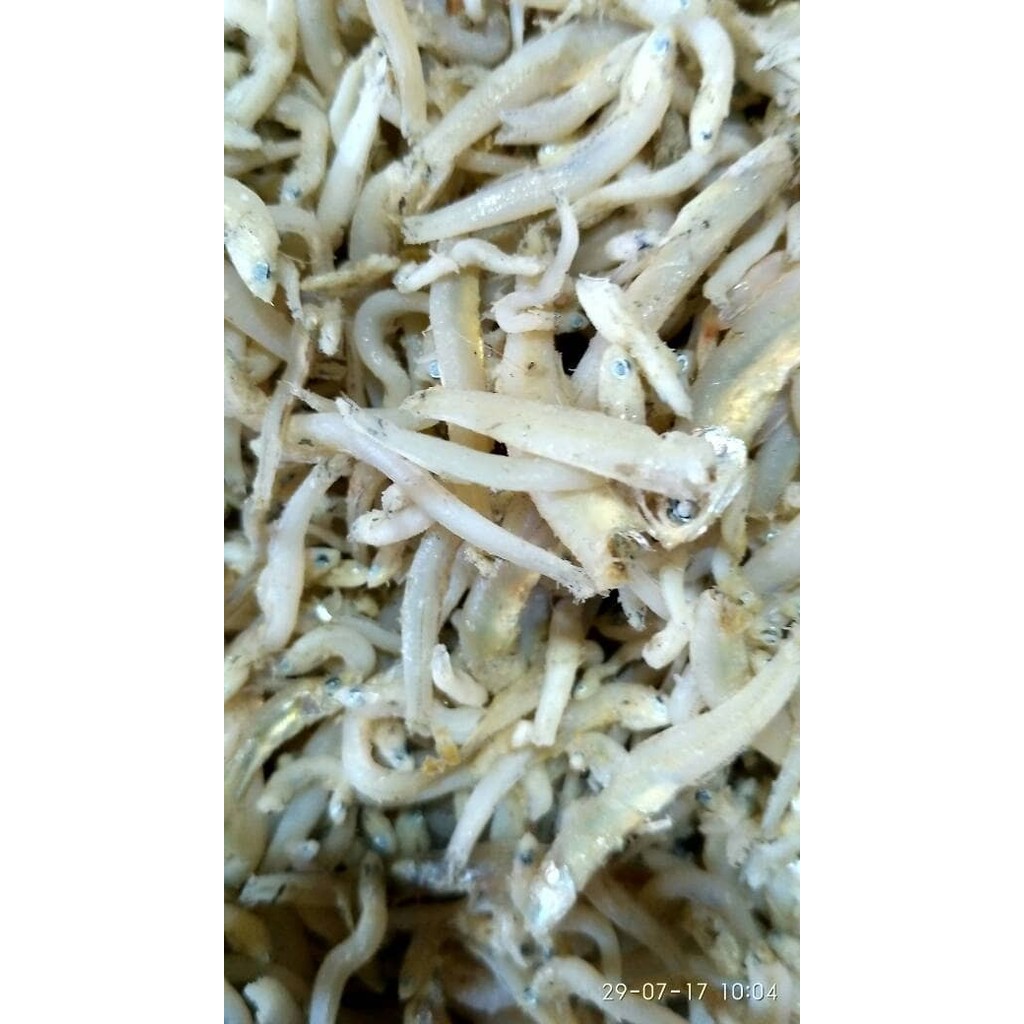 

Ikan Asin Teri Medan Teri Nasi