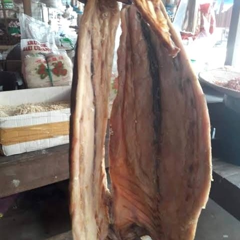 

Ikan Talang, Ikan Asin Fresh Laut