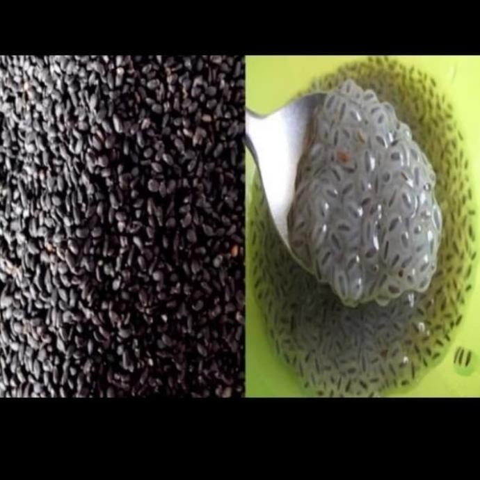 

Siap Kirim Biji Selasih (1kg)