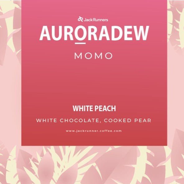 

Jackrunner Roastery Biji Kopi Roasted Specialty - Aurora Dew Aceh Gayo Momo Promo