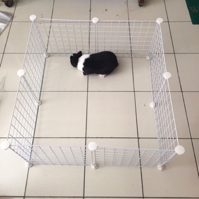

C&C Cage Grid White Colour 35 Cm X 35 Cm Torto , Guineapig And Playpan Terlaris