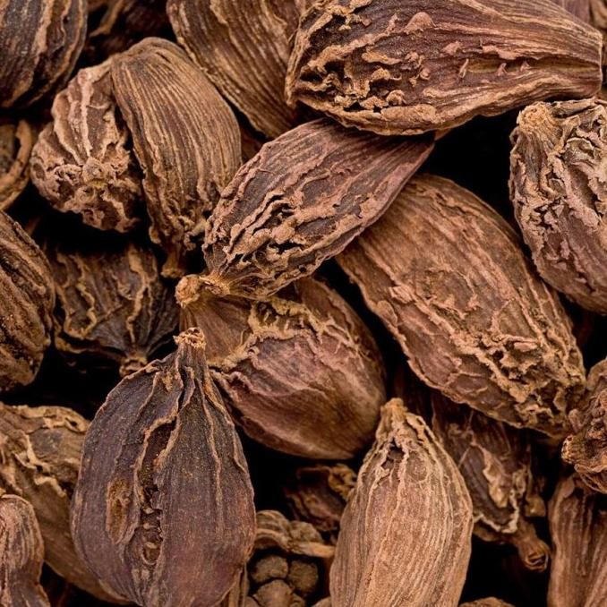 

Cao Guo Amomum Tsaoko 250Gram / Chinese Black Cardamom/ Kapulaga Hitam Terlaris