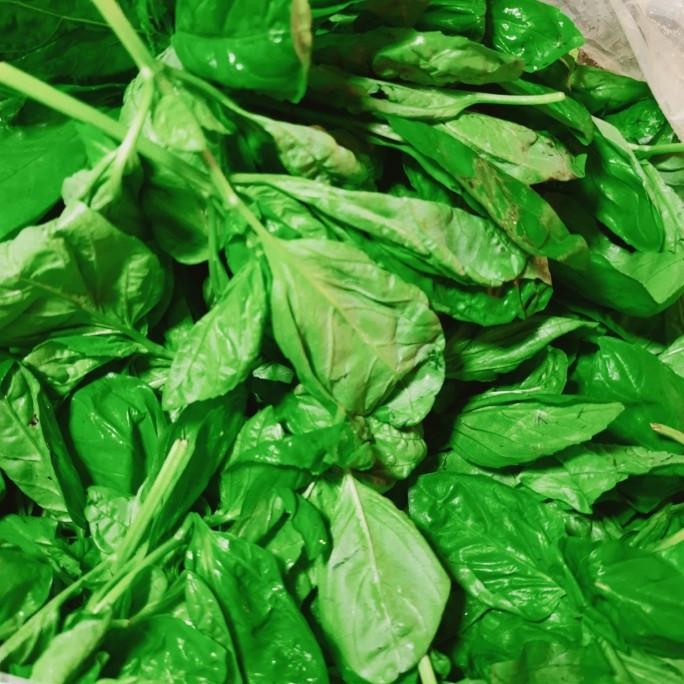 

basil fresh 1 kg