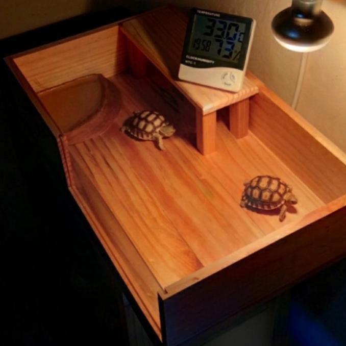 premium kandang tortoise sulcata kandang kura kura kandang kayu jati