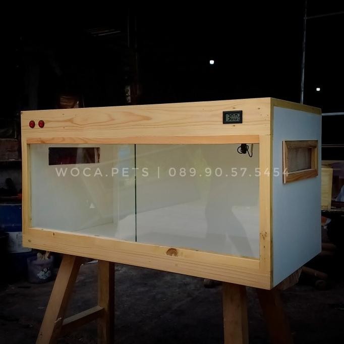 Terrarium Terarium Reptil Bearded Dragon