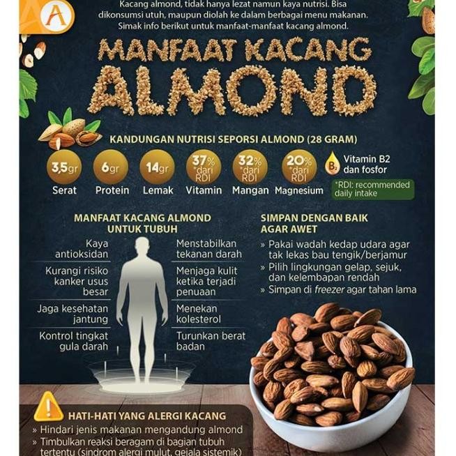 

Almond Roasted 500 Gr - Kacang Almon Panggang Matang Quality