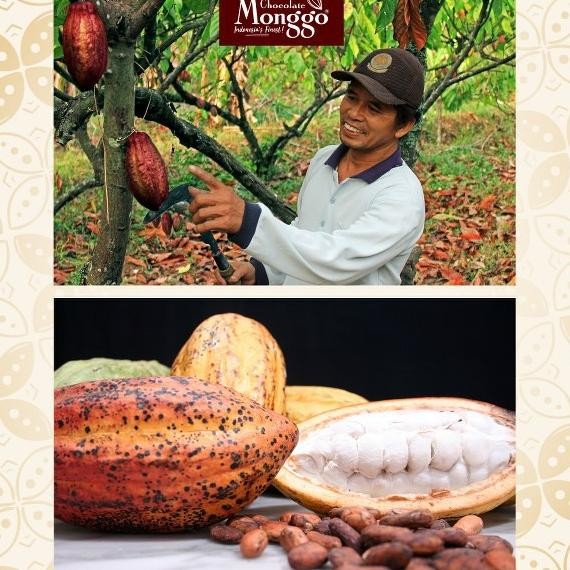 

CR - Chocolate Monggo | Oleh Oleh Stupa Dark Chocolate Murni 10x9g| Coklat hitam | Souvenir Oleh-oleh Borobudur TERLARIS