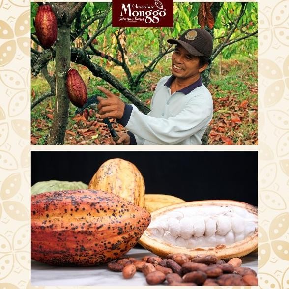 

CR - Chocolate Monggo | Energy Bar Coklat Buah & Nuts 50g| Cokelat Cereal Granola Bar | Healthy Snack | Cemilan Sehat TERLARIS