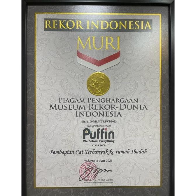 cat tembok exterior Puffin Plus 25kg