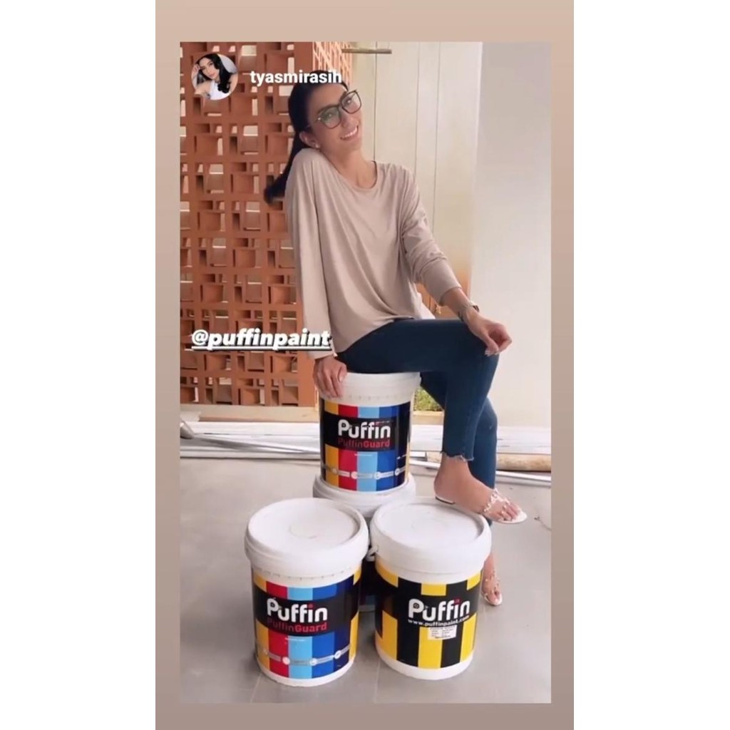 Cat Lapangan Waterbased Puffin Sportco 25kg