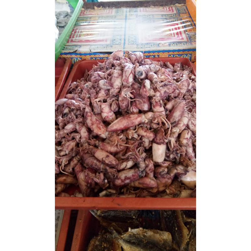 

Cumi asin sedang 500 gr