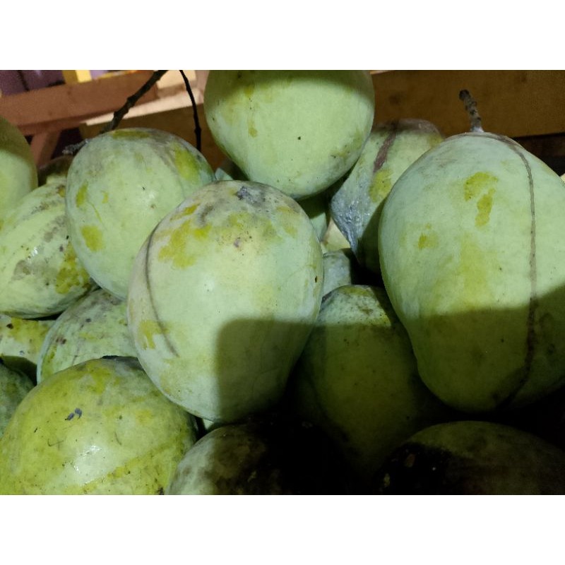 

mangga cengkir hrg promo