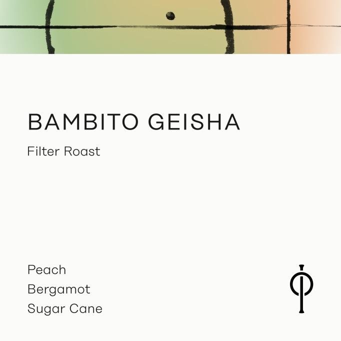 

Bambito Estate Geisha Washed