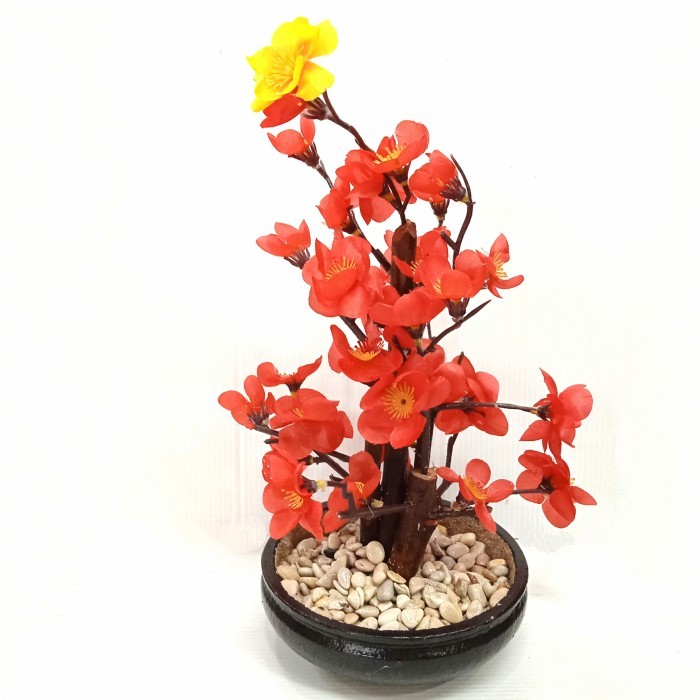 POHON IMLEK MINI/POHON IMLEK MEIHUA MINI