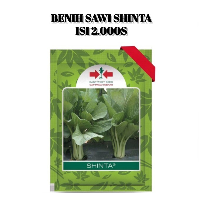 ,,,,,,,] Benih Bibit Sawi Shinta 2000 Biji Sayur Sayuran Hijau Cap Panah Merah