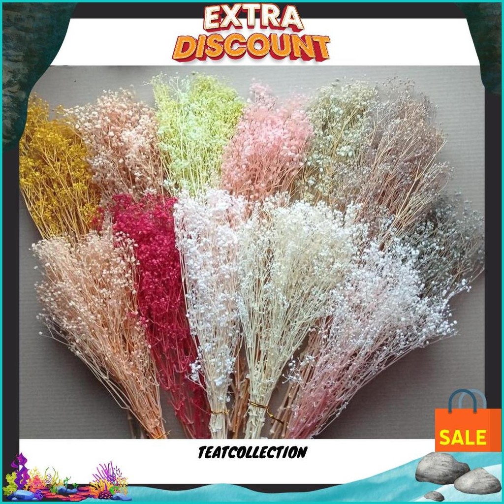 

Preserved Baby Breath Million Star 50Gram Per Pack Cod