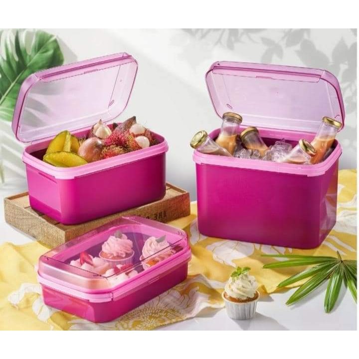 Kotak Serbaguna Tup Malay Ezy Rectangular Keeper 4.3L (1pc)