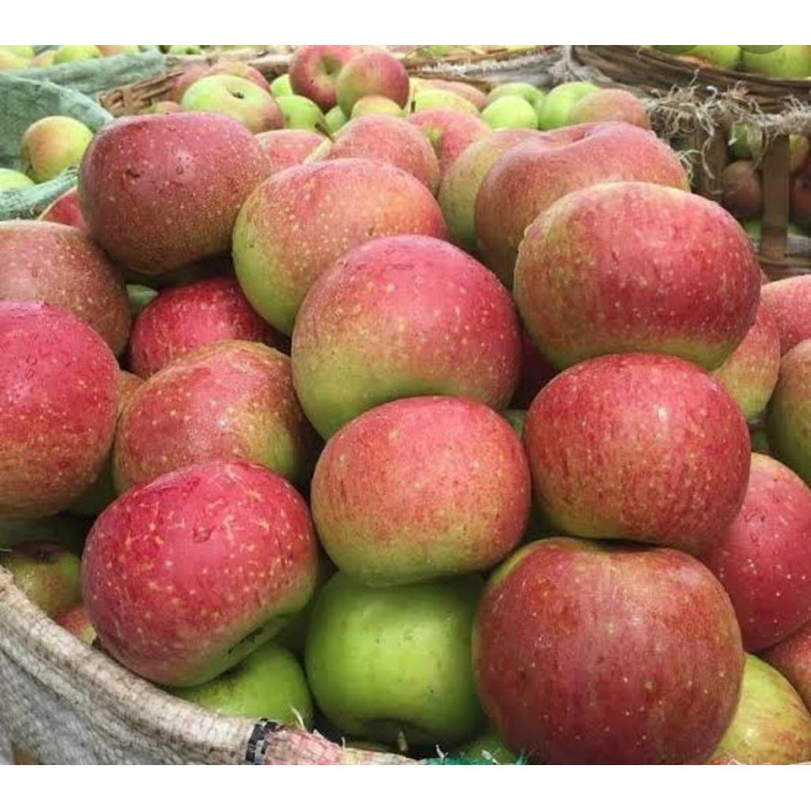 

Apel lokal malang 1 kg