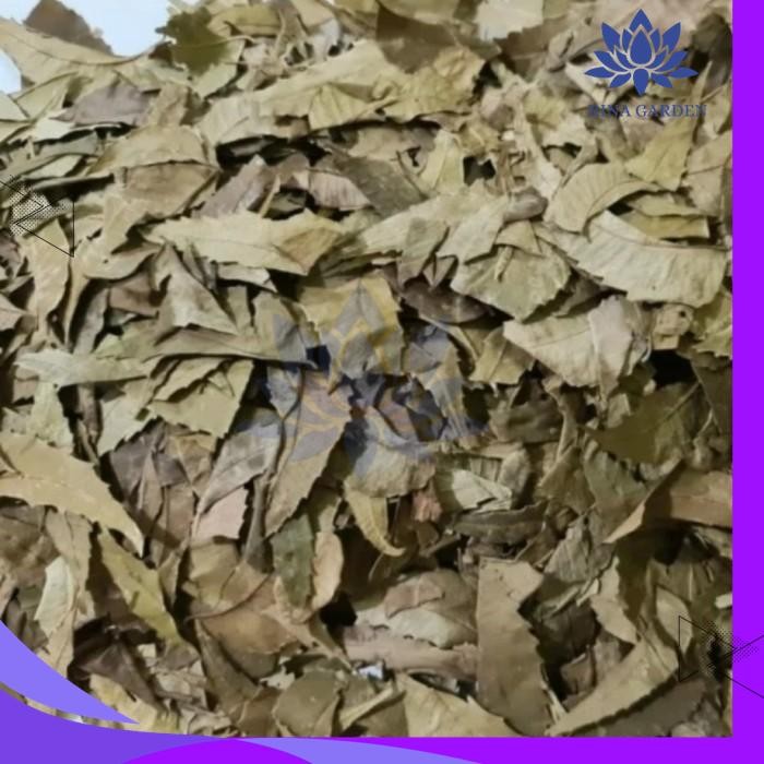 

DAUN MIMBA KERING 100GR - DAUN IMBA / IMBO / MIMBO KUALITAS TERBAIK