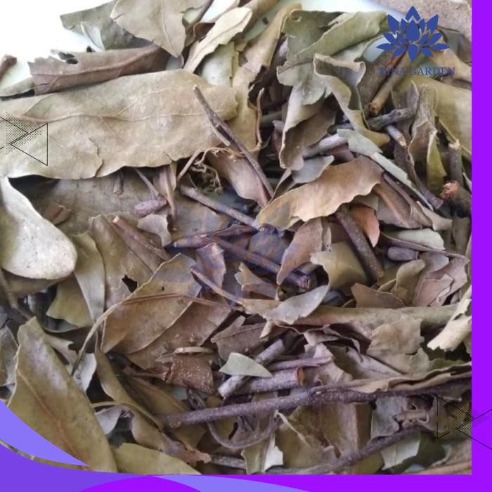 

BENALU TEH KERING 100GR PRODUK PILIHAN