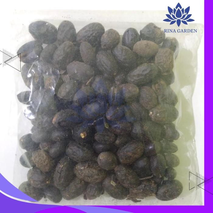 

BIJI PRONOJIWO KERING 100GR - BIJI PRANAJIWA TERMURAH