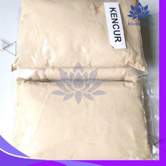 

BUBUK KENCUR GRADE A PREMIUM 500GR ASLI MURNI BEST PRODUK